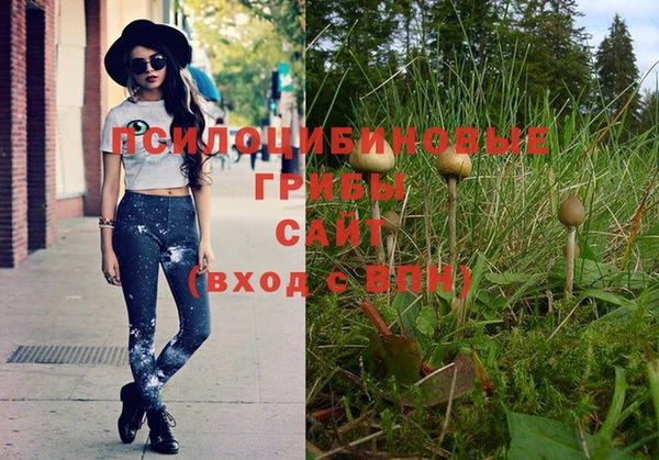 тгк Козельск