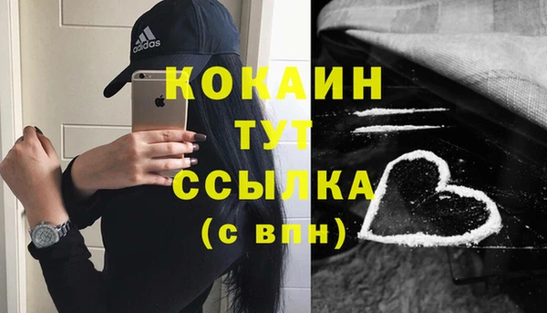 тгк Козельск